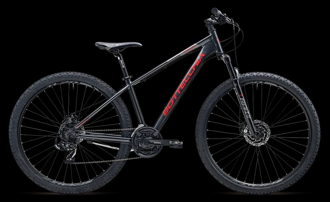 BOTTECCHIA 109 DISK L-TWOO