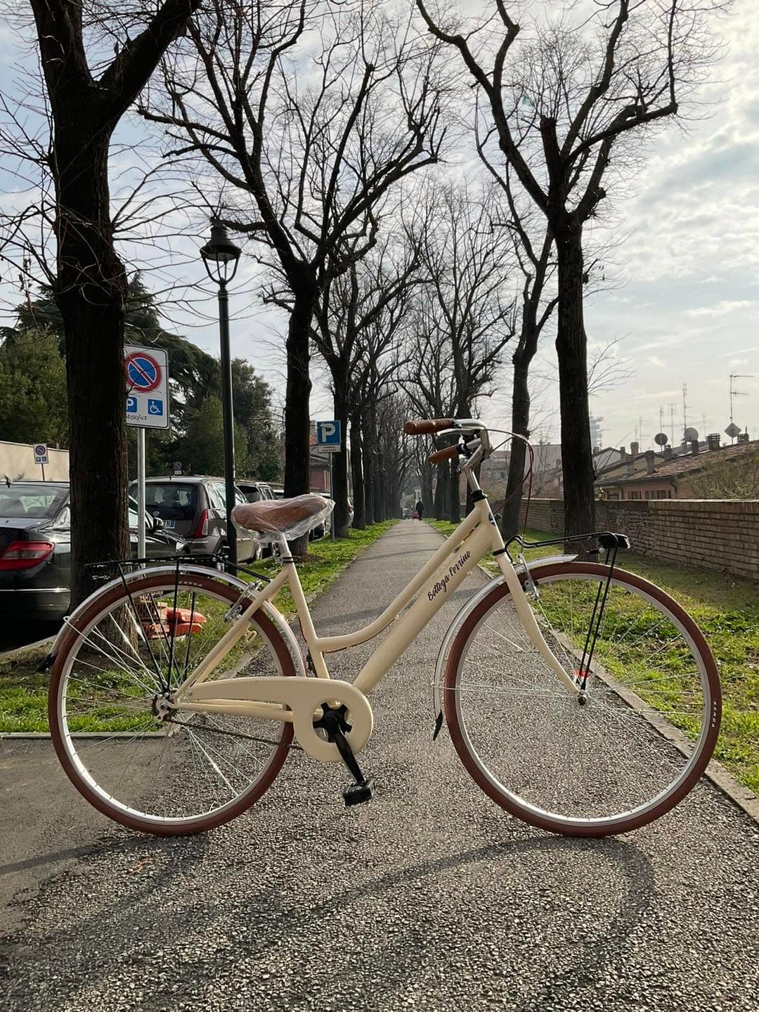 city bike donna Perrino biciclette artigianale donna Perrino