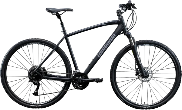 Lombardo Amantea 300