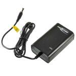 Carica batterie Ansmann 36 V Litio