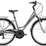 BOTTECCHIA 223