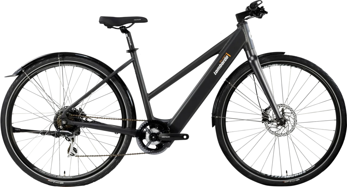 La Bologna Grey nel suo insieme