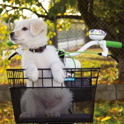 Cesto BRN in rete nera con fondo imbottito, ideale per trasportare animali domestici o oggetti durante le passeggiate in bicicletta.