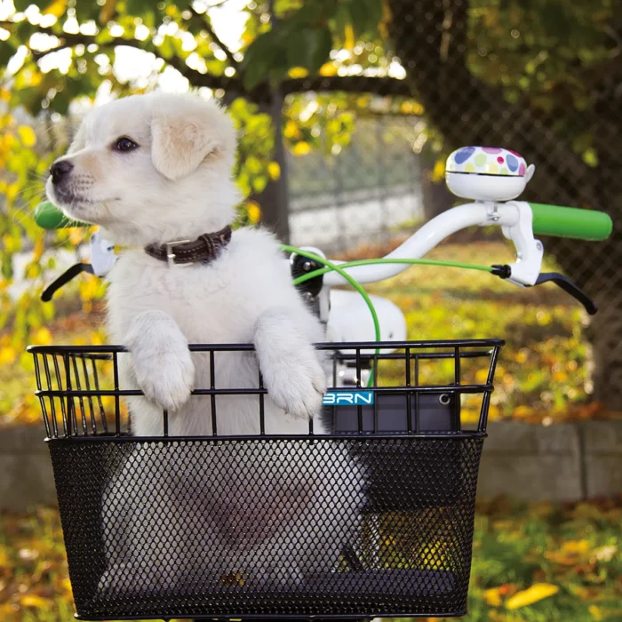 Cesto BRN in rete nera con fondo imbottito, ideale per trasportare animali domestici o oggetti durante le passeggiate in bicicletta.