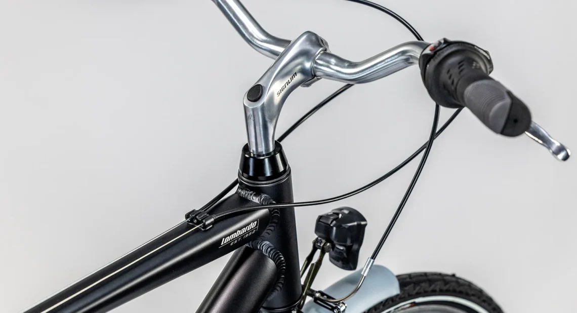 Dettaglio del manubrio di una bicicletta con impugnature ergonomiche.