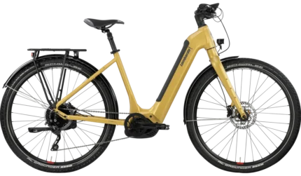 La bicicletta Tivoli Agevole