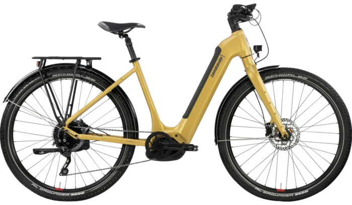 La bicicletta Tivoli Agevole