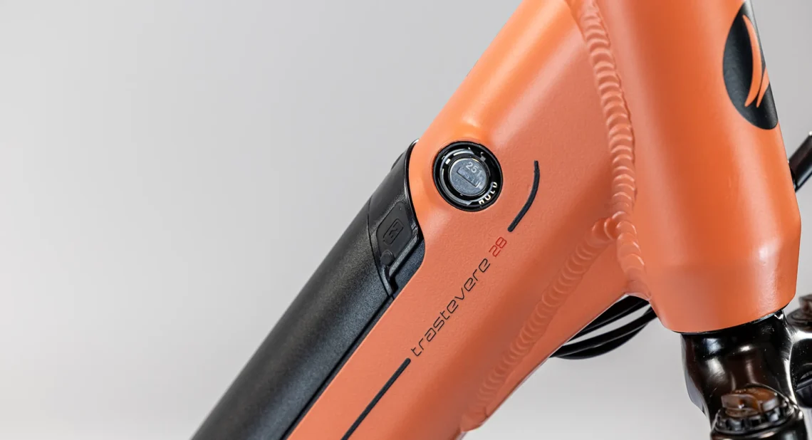 Particolare Bicicletta CloseUp