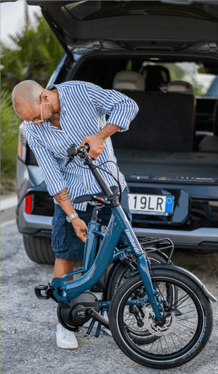 lipari nexus cat..png 2