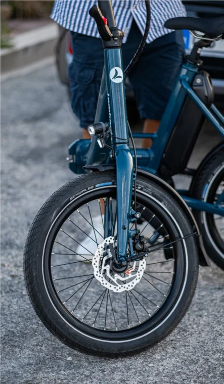 lipari nexus cat..png 3