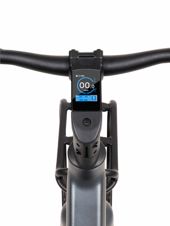 Display integrato brn